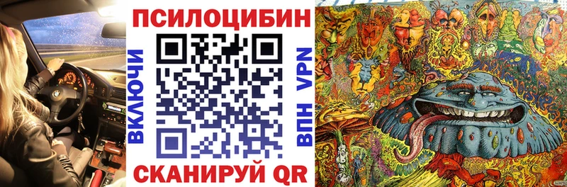 Псилоцибиновые грибы Cubensis  купить наркоту  darknet телеграм  Кораблино 
